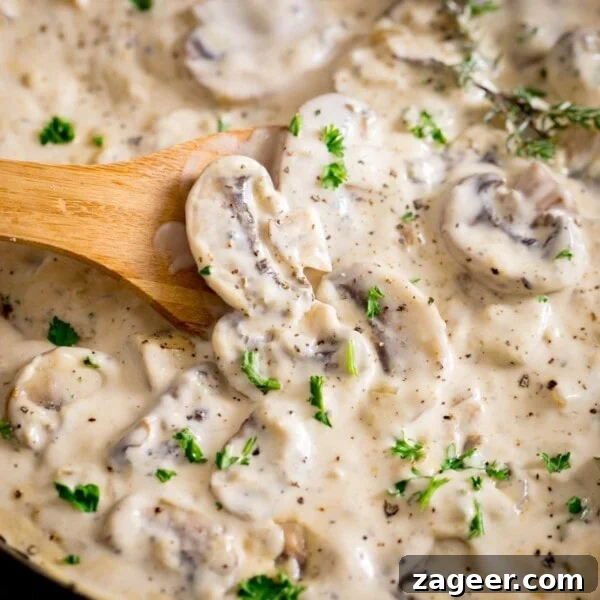 Red Pepper and Lentil Sauce Recipe for Pasta and Veggies 10 Creamy mushroom sauce with a wooden spoon stirring it.