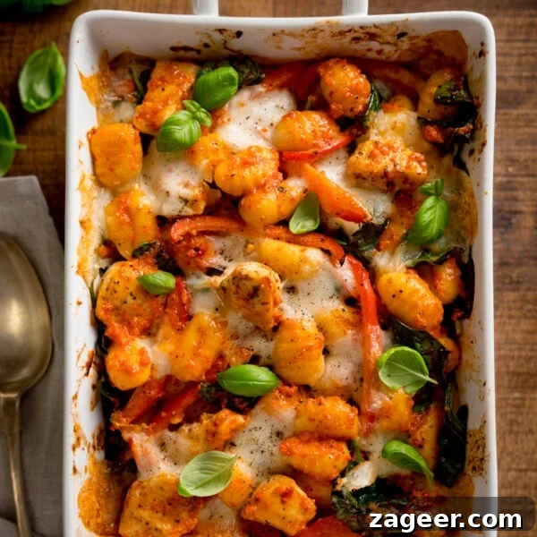 Slow-Cooker Salsa Chicken Recipe for Flavor-Packed Weeknight Meals 8 Overhead square image of baked gnocchi with melted cheese, tomatoes, spinach, and fresh basil in a white oven dish.