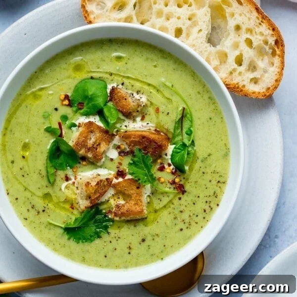 Cheddar and Vegetable Chowder Recipe with Creamy Veggies 8 Broccoli Cheese Soup croutons and baby leaves in a white bowl