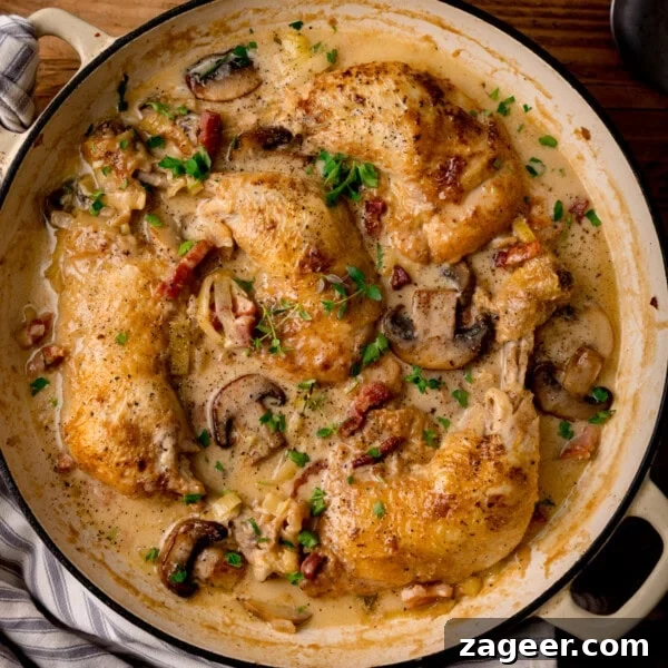 Steak Fries with Creamy Peppercorn Sauce 15 Overhead square image of a casserole pan filled with coq au vin blanc -cooked chicken breasts in creamy mushroom sauce.