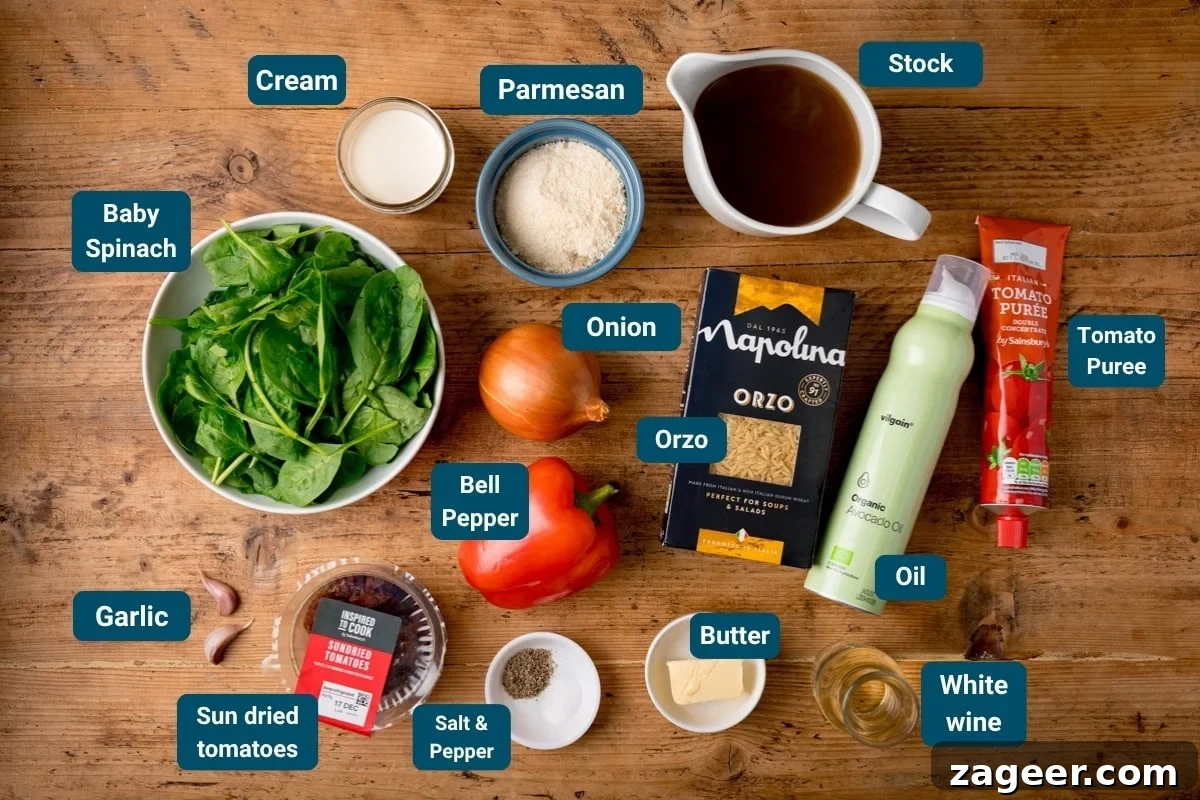 Tuscan Salmon with Creamy Lemon Orzo Recipe 5 A top-down view of labelled ingredients for a Tuscan-style orzo recipe: including spinach, cream, parmesan, stock, orzo, onion, pepper, oil, tomato purée, white wine, butter, garlic, sun-dried tomatoes, salt.