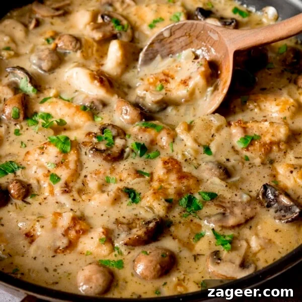 Creamy Ham and Spring Pea Risotto Recipe 8 Square close-up image a large pan filled with creamy chicken and mushroom casserole.