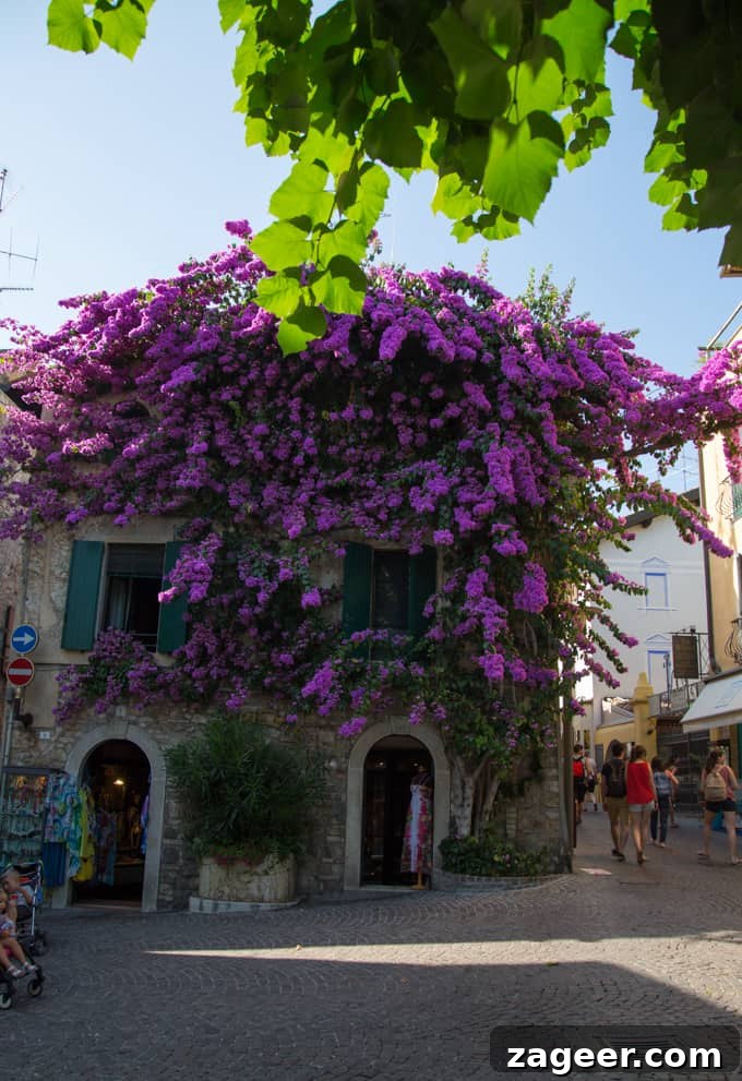 Lake Garda, Venice & 128 Pizza Slices: 8-Day Italy Food Trip 11 Lake Garda and Venice