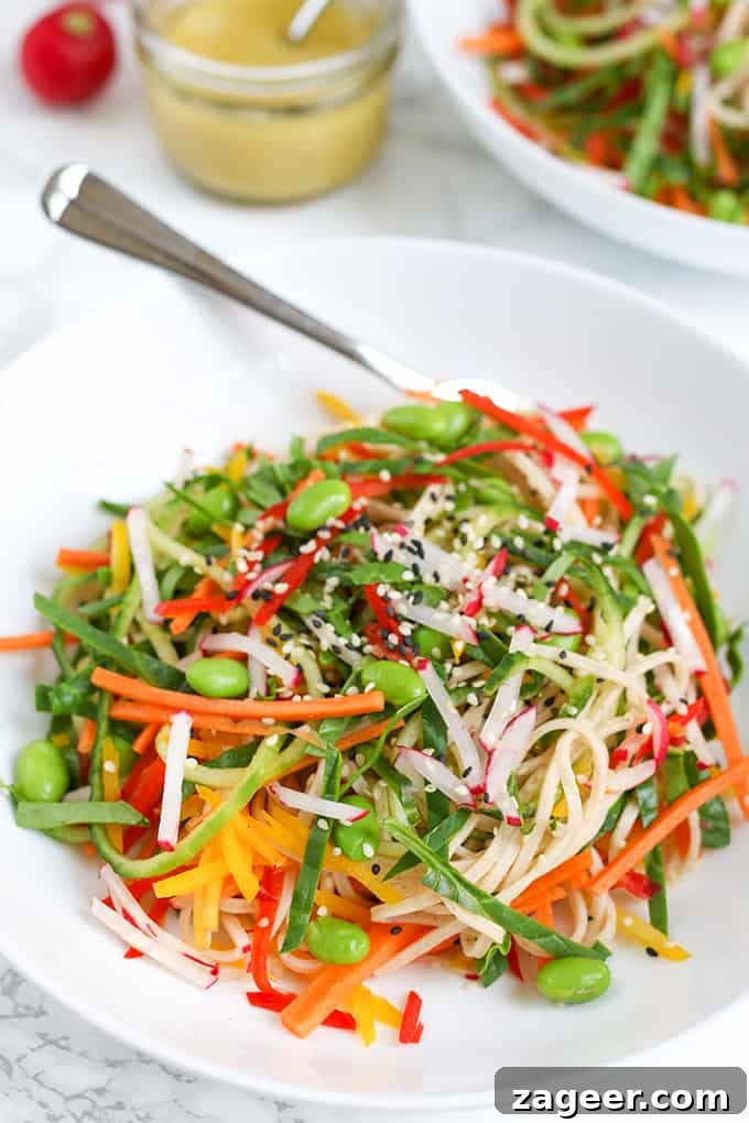 Colorful Rainbow Noodle Salad with Tangy Dijon Mustard Dressing 4 Rainbow noodle salad with Dijon mustard dressing - A crisp, light summer salad with a delicious zingy dressing!