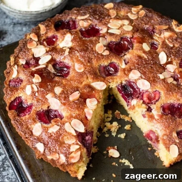Perfect Battenberg Cake Recipe: Step-by-Step Guide 12 A fluffy Cherry and Almond Cake with fresh cherries and dollops of jam. So tasty and gluten free too!
