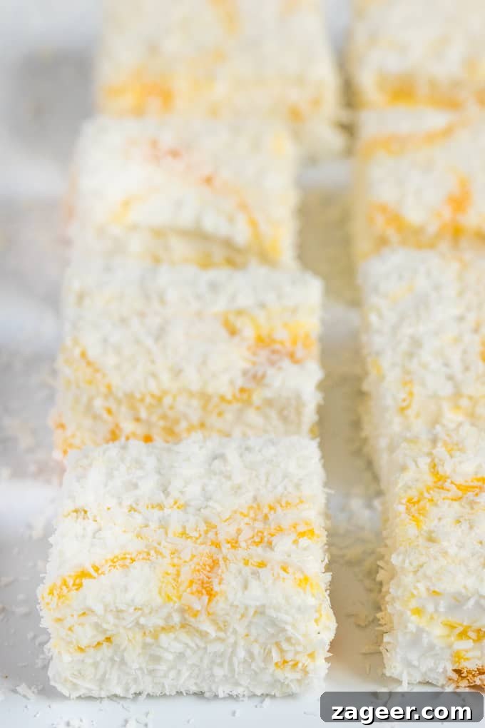 Lemon Curd Coconut Marshmallows — Tart, Tropical Confections 3 Lemon Curd and Coconut Marshmallows - light and fluffy, these marshmallows make an amazing homemade gift!