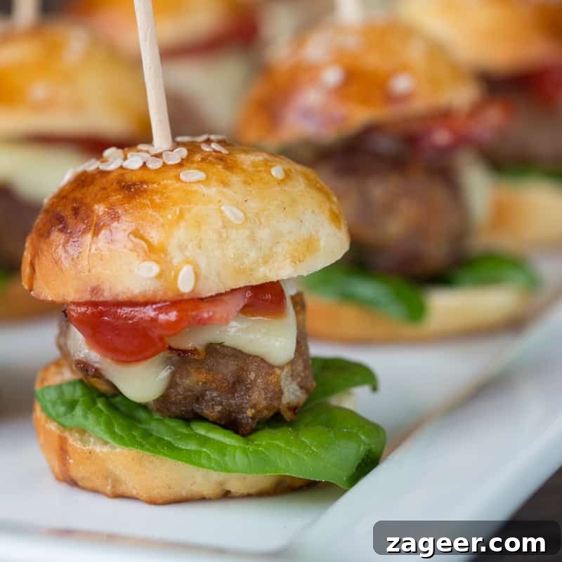 Mini Burger Sliders: Perfect Party Bite-Sized Cheeseburgers 5 MiniBurgers-270A5695-June2014_web