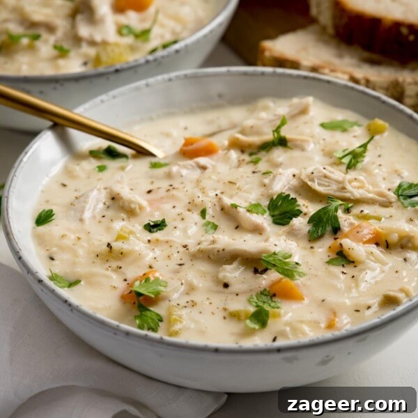 Hearty Pulled Pork and White Bean Soup Recipe 9 A bowl of chicken and rice soup on a light background.