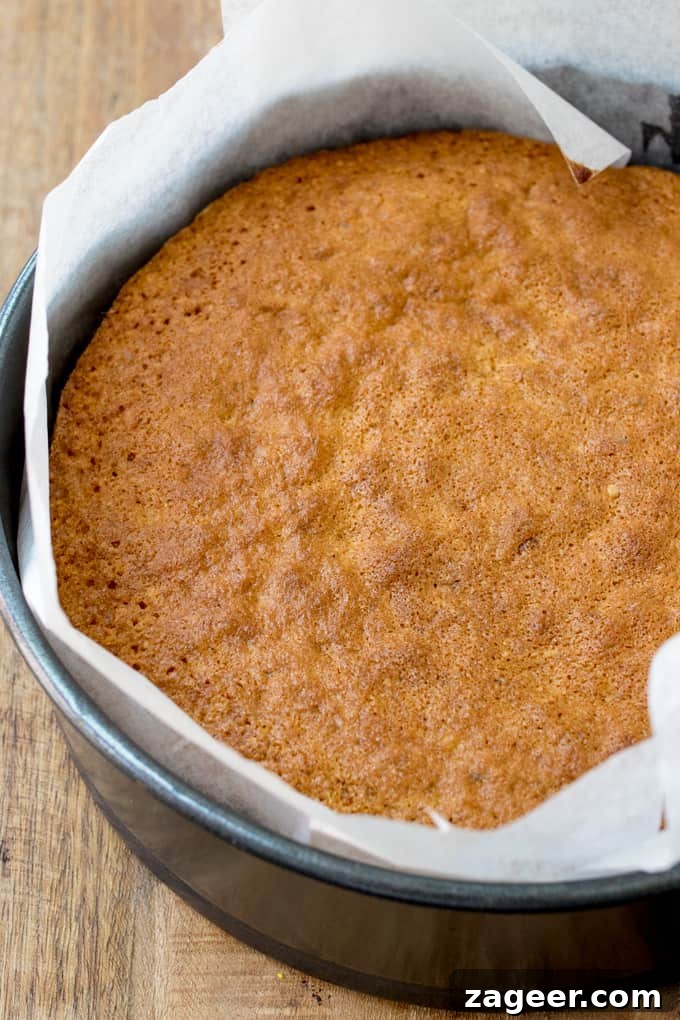 Orange Drizzle Cake with Candied Orange Peel Recipe 6 img 7462 5