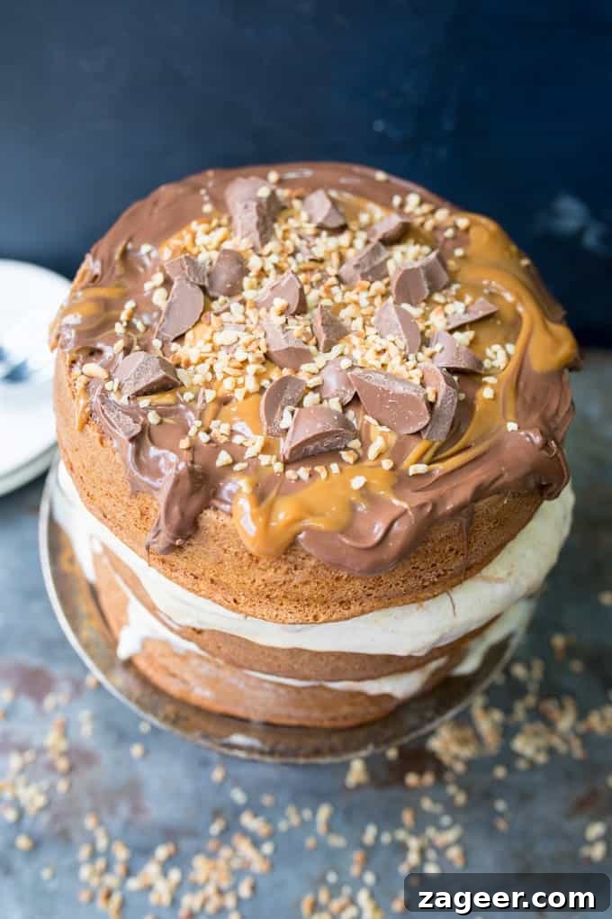 Salted Caramel Chocolate Peanut Butter Ice Cream Cake 3 Chocolate Peanut Butter Ice Cream Cake with Salted Caramel - this three layer cake is an easy crowd-pleaser. A great Summer dessert!