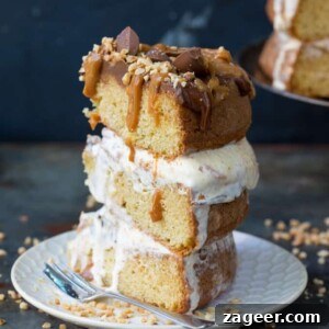 Salted Caramel Chocolate Peanut Butter Ice Cream Cake 6 Chocolate Peanut Butter Ice Cream Cake with Salted Caramel - this three layer cake is an easy crowd-pleaser. A great Summer dessert!
