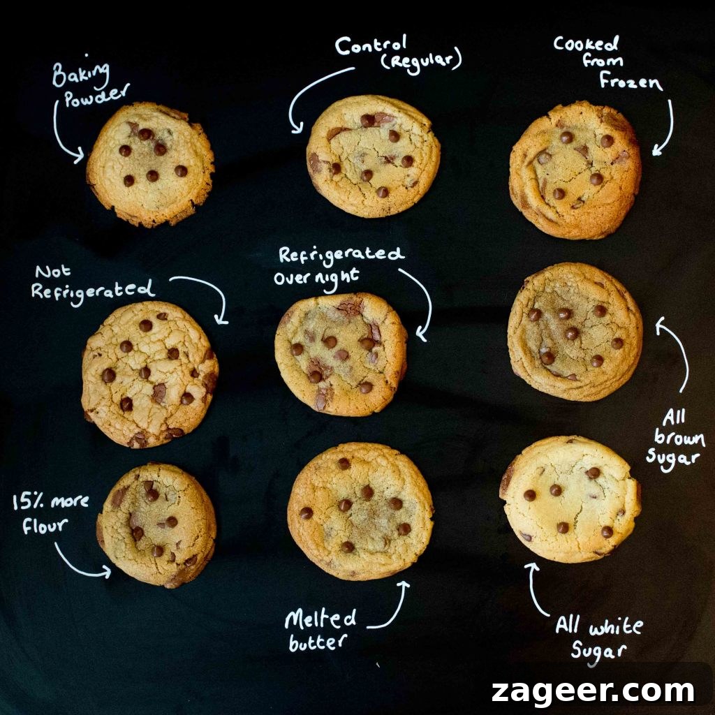 Cookie Science: Fun Baking Experiments to Perfect Flavor 2 Cookie Experiment - a visual and taste test using a control cookie and 8 minor changes to ingredient or technique