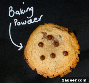 Cookie Science: Fun Baking Experiments to Perfect Flavor 3 Cookie Experiment - a visual and taste test using a control cookie and 8 minor changes to ingredient or technique