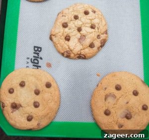 Cookie Science: Fun Baking Experiments to Perfect Flavor 6 Cookie Experiment - a visual and taste test using a control cookie and 8 minor changes to ingredient or technique