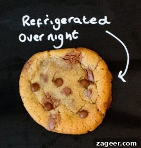 Cookie Science: Fun Baking Experiments to Perfect Flavor 7 Cookie Experiment - a visual and taste test using a control cookie and 8 minor changes to ingredient or technique