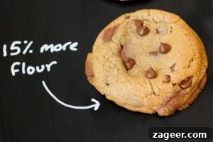 Cookie Science: Fun Baking Experiments to Perfect Flavor 9 Cookie Experiment - a visual and taste test using a control cookie and 8 minor changes to ingredient or technique