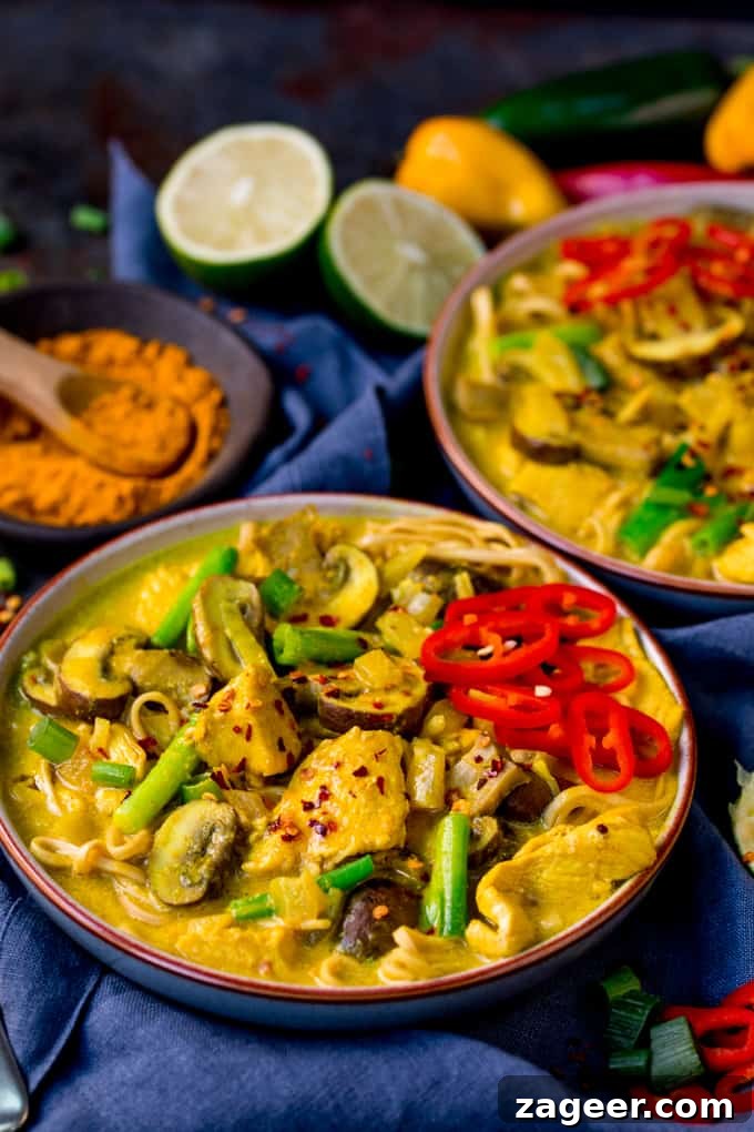 Turmeric Chicken Noodle Soup Recipe for Immunity Boost 3 side on photo of 2 bowls of Chicken Noodle Soup with Turmeric on a dark background with spices, chillis and limes in the background
