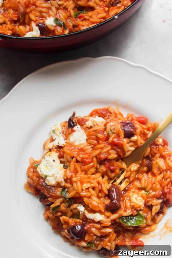 Tomato orzotto on a white plate with pan of more orzo in the background.